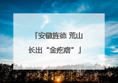 安徽旌德 荒山长出“金疙瘩”