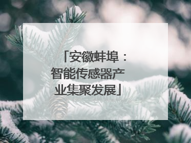 安徽蚌埠：智能传感器产业集聚发展