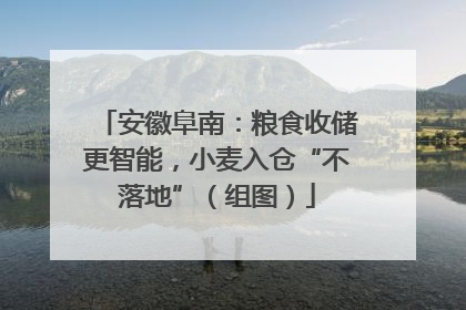安徽阜南：粮食收储更智能，小麦入仓“不落地”（组图）