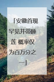 安徽首现罕见并蒂睡莲 概率仅为百万分之一