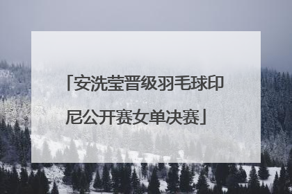 安洗莹晋级羽毛球印尼公开赛女单决赛