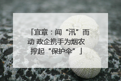宜章：闻“汛”而动 政企携手为烟农撑起“保护伞”