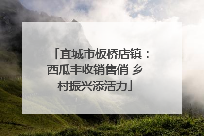 宜城市板桥店镇：西瓜丰收销售俏 乡村振兴添活力