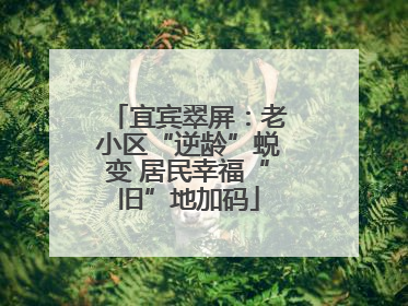 宜宾翠屏：老小区“逆龄”蜕变 居民幸福“旧”地加码