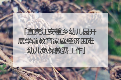 宜宾江安橙乡幼儿园开展学前教育家庭经济困难幼儿免保教费工作