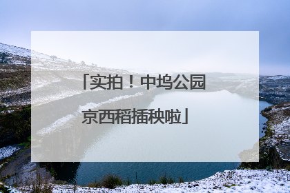 实拍！中坞公园京西稻插秧啦