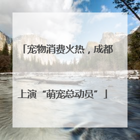 宠物消费火热，成都上演“萌宠总动员”