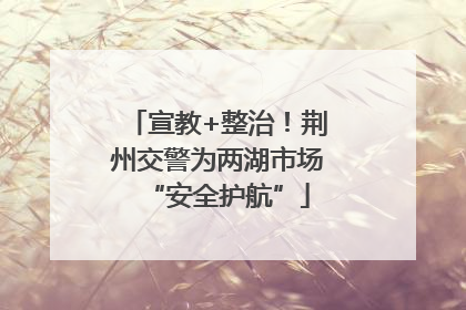 宣教+整治！荆州交警为两湖市场“安全护航”