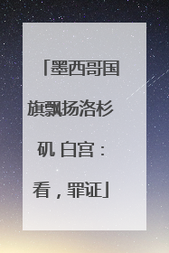 墨西哥国旗飘扬洛杉矶 白宫：看，罪证