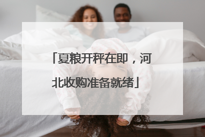 夏粮开秤在即，河北收购准备就绪