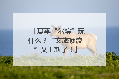 夏季“尔滨”玩什么？“文旅顶流”又上新了！