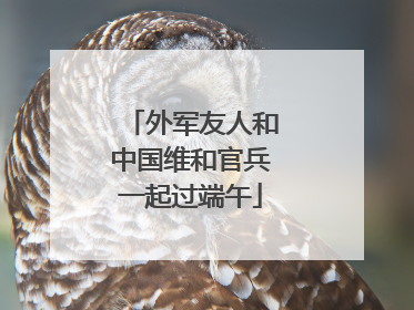 外军友人和中国维和官兵一起过端午