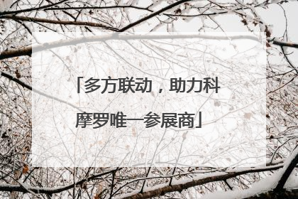 多方联动，助力科摩罗唯一参展商