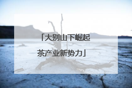 大别山下崛起茶产业新势力