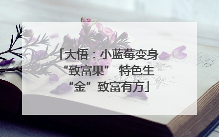 大悟：小蓝莓变身“致富果” 特色生“金”致富有方