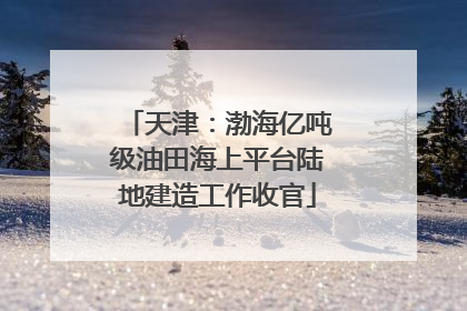 天津：渤海亿吨级油田海上平台陆地建造工作收官