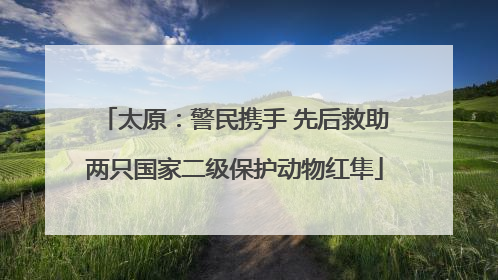 太原：警民携手 先后救助两只国家二级保护动物红隼