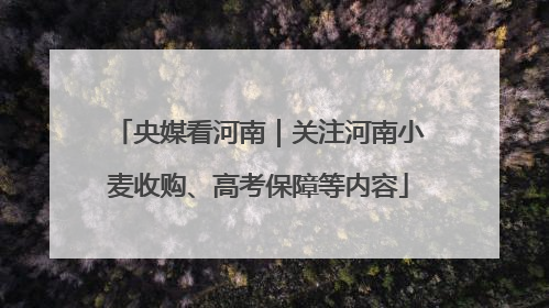 央媒看河南｜关注河南小麦收购、高考保障等内容