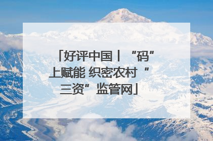 好评中国丨“码”上赋能 织密农村“三资”监管网