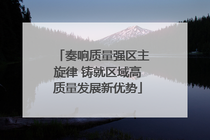 奏响质量强区主旋律 铸就区域高质量发展新优势