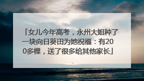 女儿今年高考，永州大姐种了一块向日葵田为她祝福：有200多棵，送了很多给其他家长