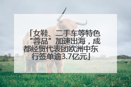 女鞋、二手车等特色“蓉品”加速出海，成都经贸代表团欧洲中东行签单逾3.7亿元