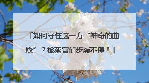 如何守住这一方“神奇的曲线”？检察官们步履不停！