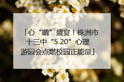 心“晴”盛宴！株洲市十三中“5.20”心理游园会点燃校园正能量