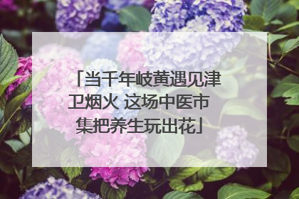 当千年岐黄遇见津卫烟火 这场中医市集把养生玩出花