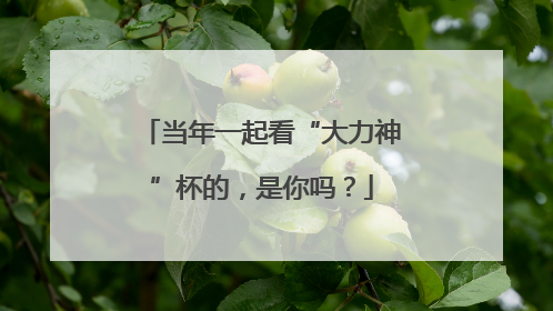 当年一起看“大力神”杯的，是你吗？
