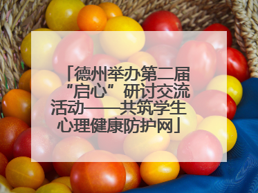 德州举办第二届“启心”研讨交流活动——共筑学生心理健康防护网