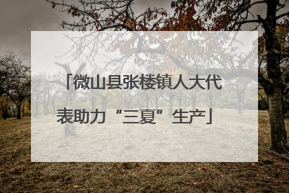 微山县张楼镇人大代表助力“三夏”生产