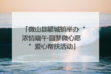 微山县驩城镇举办“浓情端午·圆梦微心愿”爱心帮扶活动