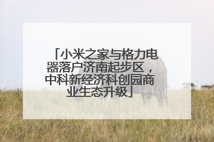 小米之家与格力电器落户济南起步区，中科新经济科创园商业生态升级