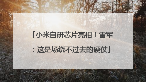小米自研芯片亮相！雷军：这是场绕不过去的硬仗