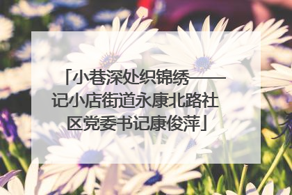 小巷深处织锦绣——记小店街道永康北路社区党委书记康俊萍