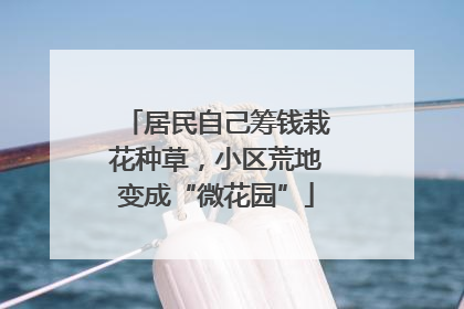 居民自己筹钱栽花种草，小区荒地变成“微花园”