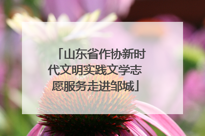 山东省作协新时代文明实践文学志愿服务走进邹城