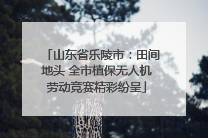 山东省乐陵市：田间地头 全市植保无人机劳动竞赛精彩纷呈