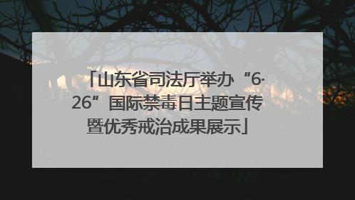 山东省司法厅举办“6·26”国际禁毒日主题宣传暨优秀戒治成果展示