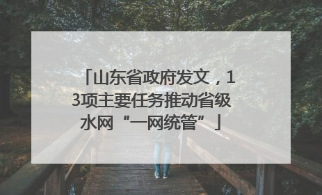 山东省政府发文，13项主要任务推动省级水网“一网统管”