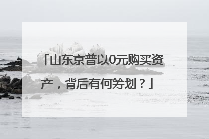山东京普以0元购买资产，背后有何筹划？