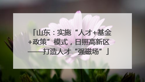 山东：实施“人才+基金+政策”模式，日照高新区——打造人才“强磁场”