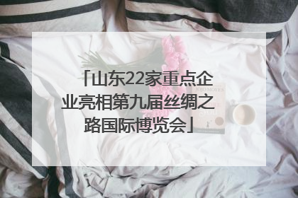 山东22家重点企业亮相第九届丝绸之路国际博览会