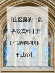 山区县的“药”香致富经丨万千气象看四川·平武③
