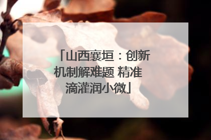 山西襄垣：创新机制解难题 精准滴灌润小微