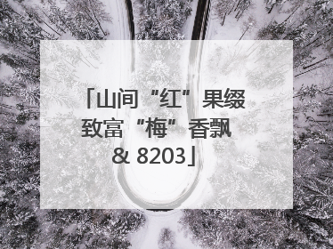 山间“红”果缀 致富“梅”香飘& 8203