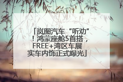岚图汽车“听劝”！鸿蒙座舱5首搭，FREE+湾区车展实车内饰正式曝光
