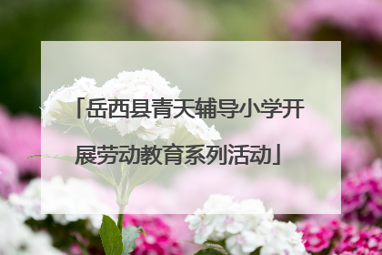 岳西县青天辅导小学开展劳动教育系列活动
