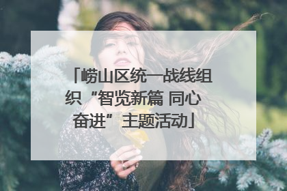 崂山区统一战线组织“智览新篇 同心奋进”主题活动